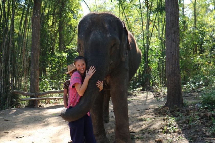 Traveler with elephant in Thailand